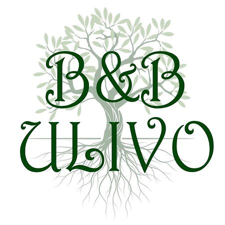 Ulivo Bed & Breakfast Trapani Bagian luar foto
